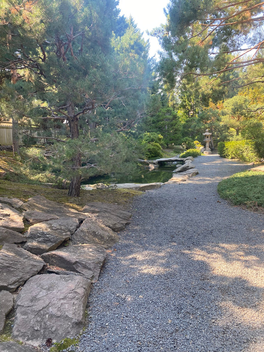 Finding Calm in the CWU Japanese Garden: Why 10 Minutes Can Change Your Day Ever feel like your mind has 50 tabs open? That’s when nature calls