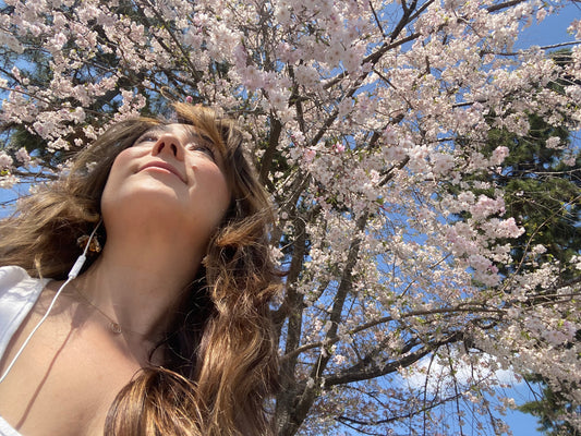 Matcha & Wagashi Under the Blossoms: Catch Me at the Seattle Cherry Blossom Festival!