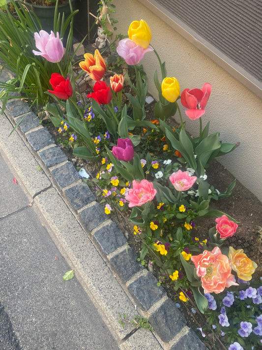 Simple Pleasures: My Daily Therapy of Tea, Flowers & Dog Walks