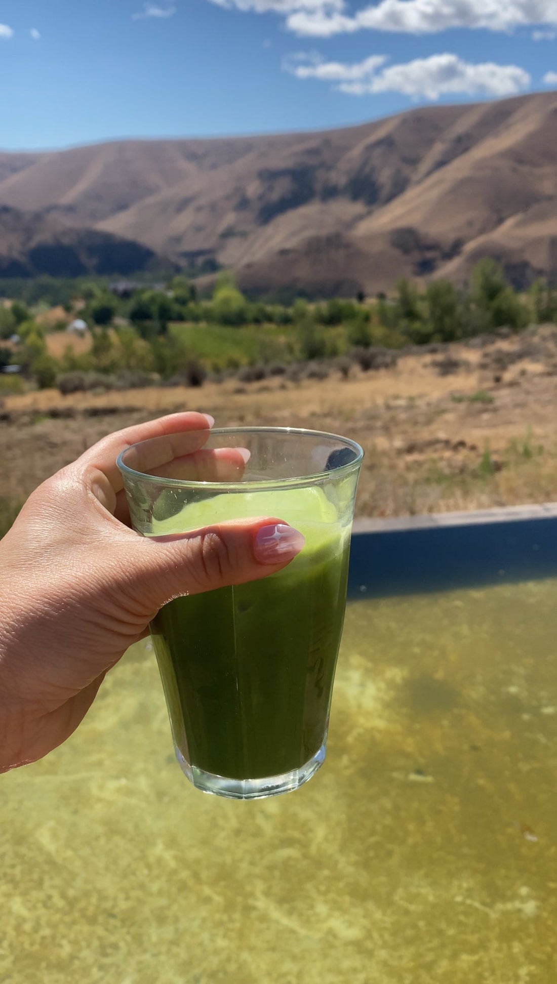 How to Make the Perfect Matcha Latte with Agave (Simple Recipe!)