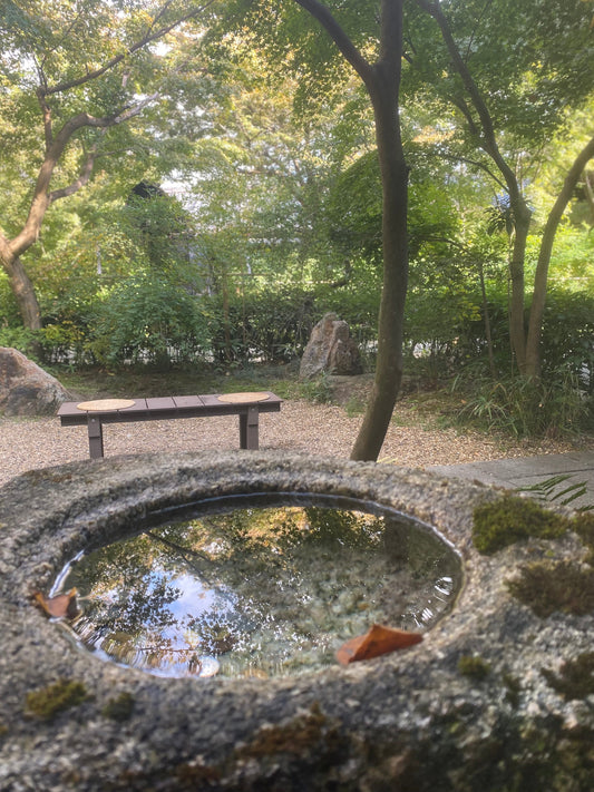 Coffee Base Nashinoki đâď¸â¨đľđ