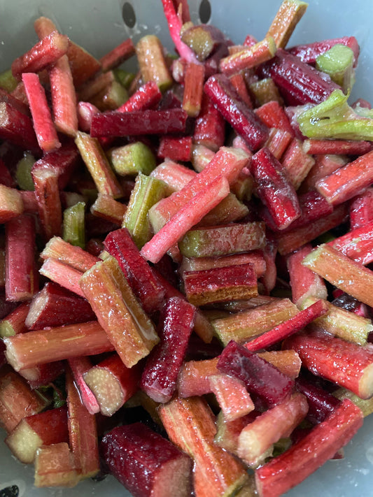 Garden Magic: Making Rhubarb Syrup from Scratch with a Friend