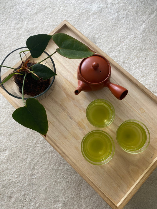 Brewing My Favorite Sencha for Family Moments