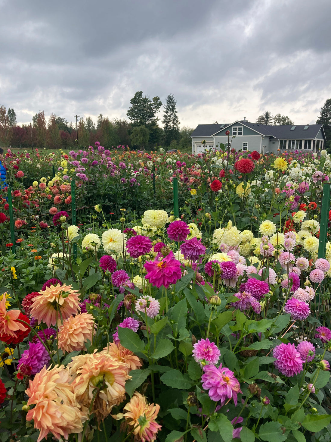 Therapy, Courtesy of Mother Nature 🌸