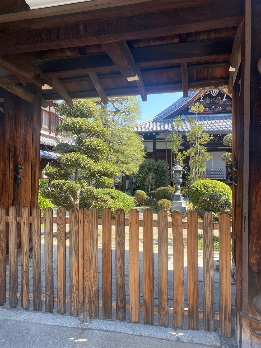 Whisking Gratitude: The Spirit of Jyoraku Matcha