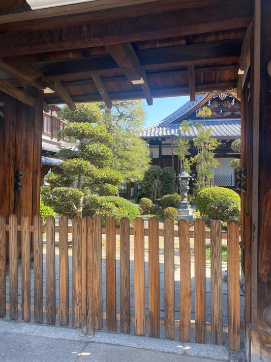 Whisking Gratitude: The Spirit of Jyoraku Matcha