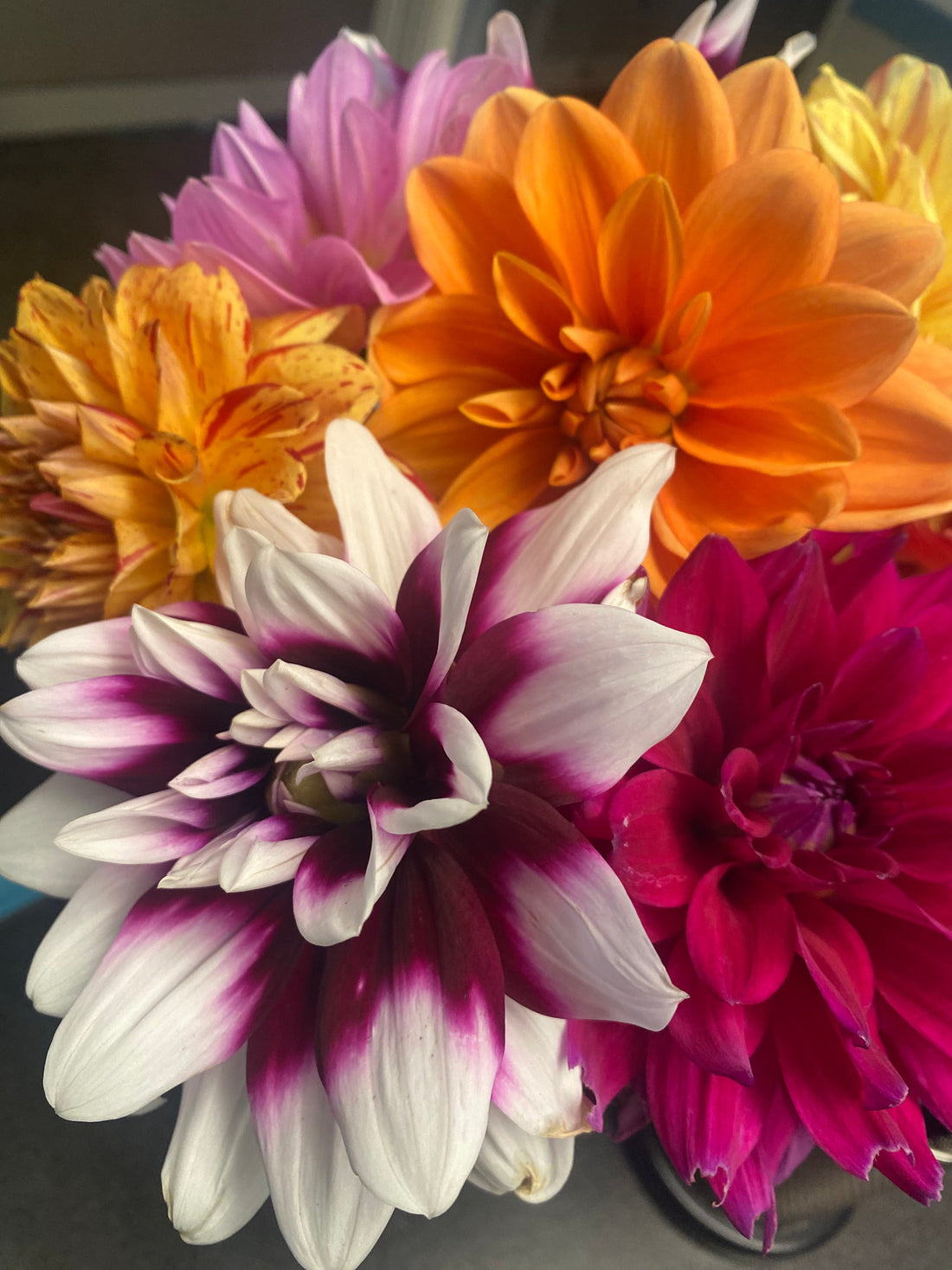 Flowers, Matcha & the Art of Gratitude