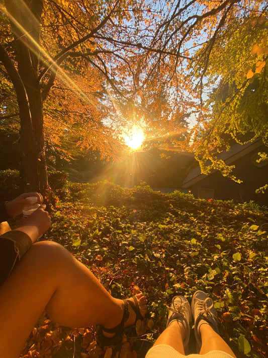 Autumn Tea Reflections 🍂