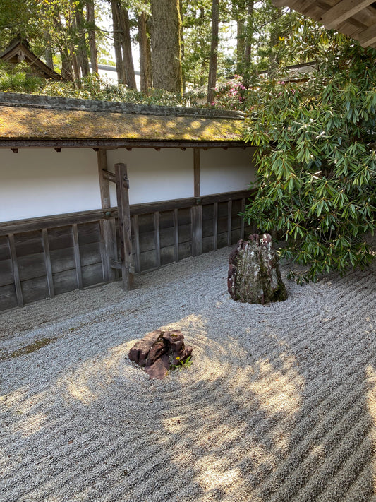 🌿👘 Embracing Stillness: Letting Go and Trusting the Flow
