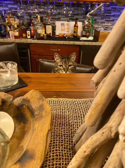 Hojicha Ice Cream: A Gently Sweet and Roasty Japanese Tea Treat