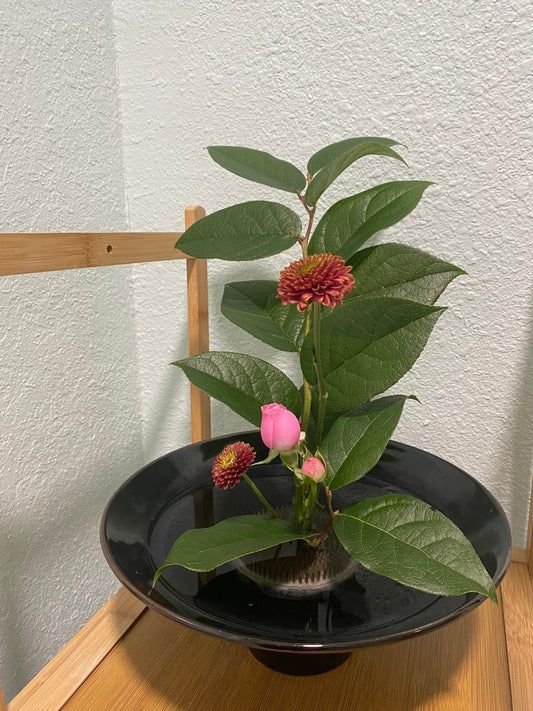 Small Rituals, Deep Peace: An Ikebana Reflection