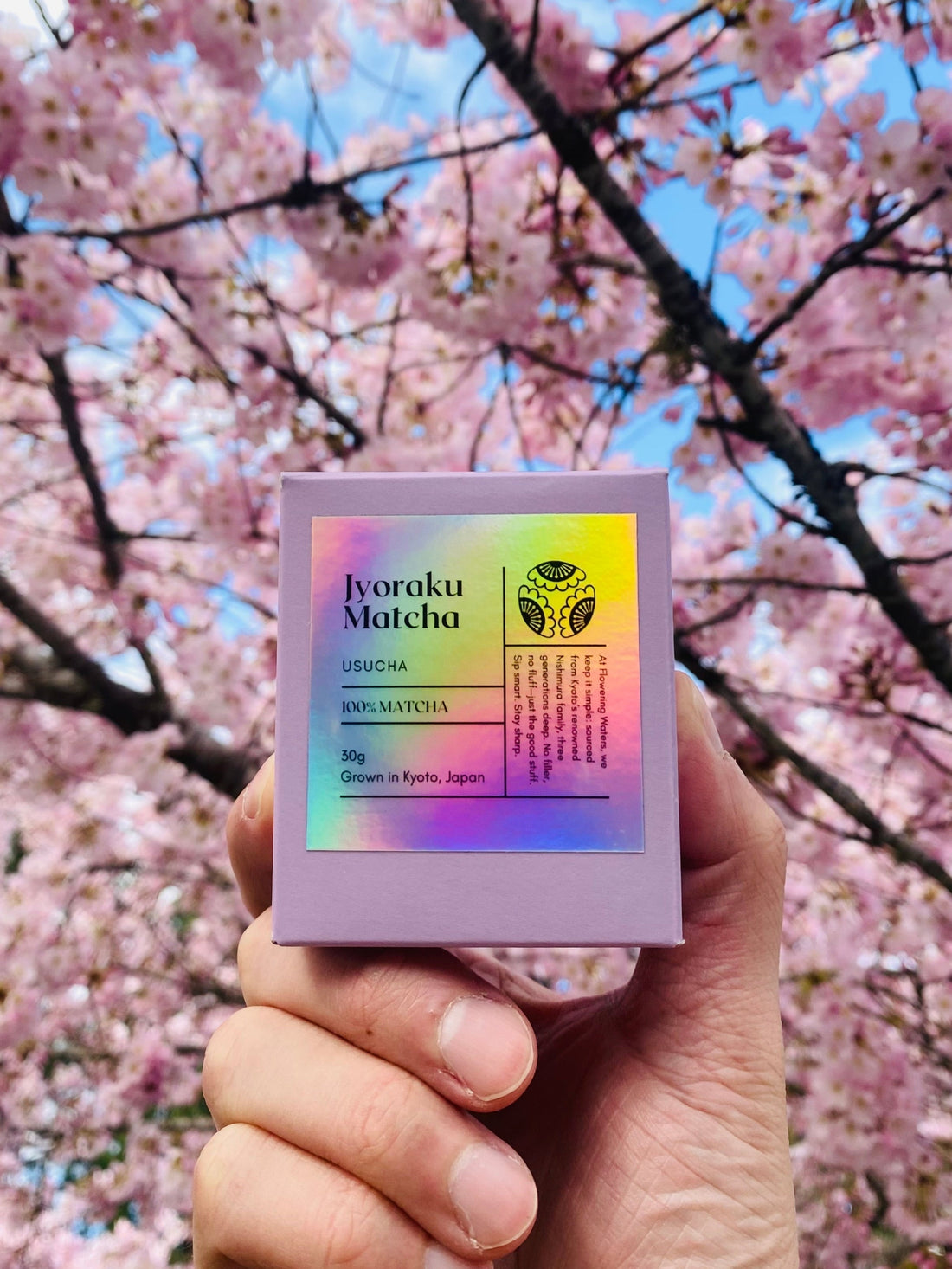Reintroducing Jyoraku Matcha – The Matcha Blend my family sold for 20+ years