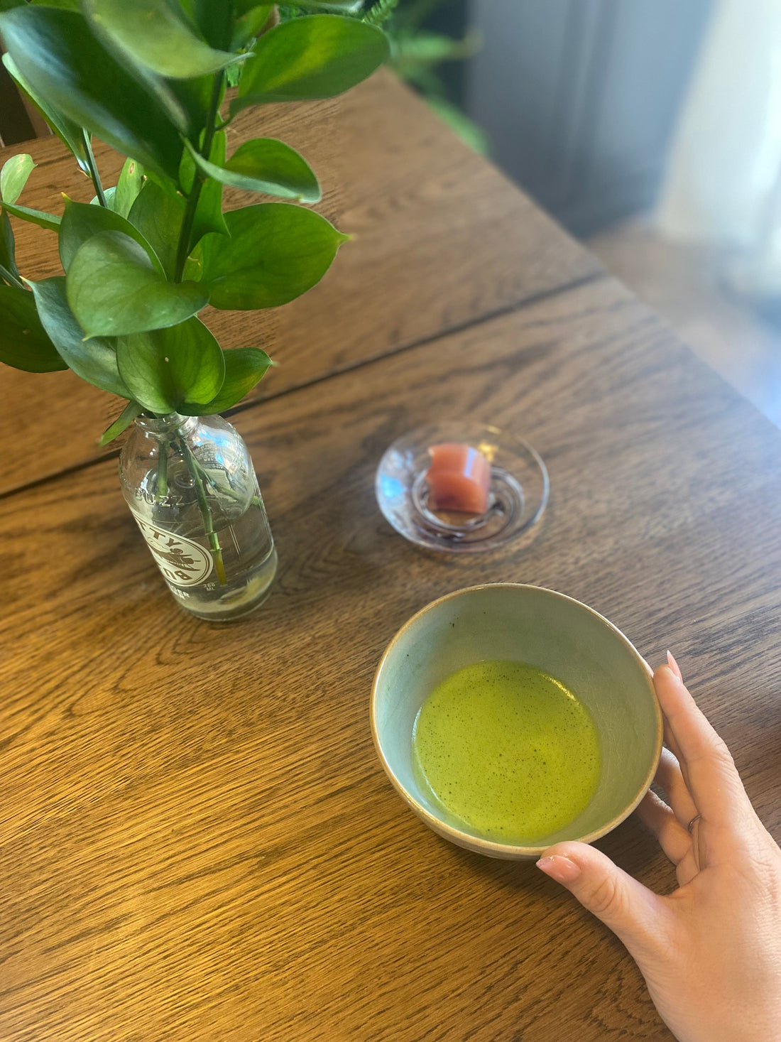 Jyoraku Matcha + Cherry Yokan: A Sweet Send-Off to Spring