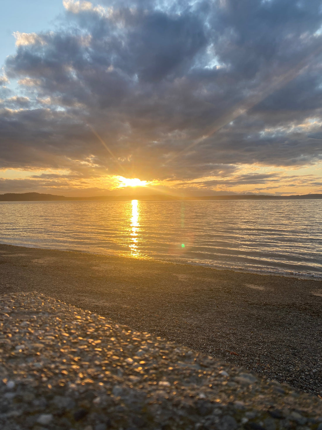 Try Again — The Art of Beginning, One Sip at a Time 🍵