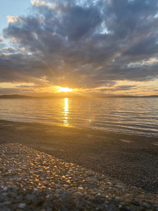 Try Again — The Art of Beginning, One Sip at a Time 🍵