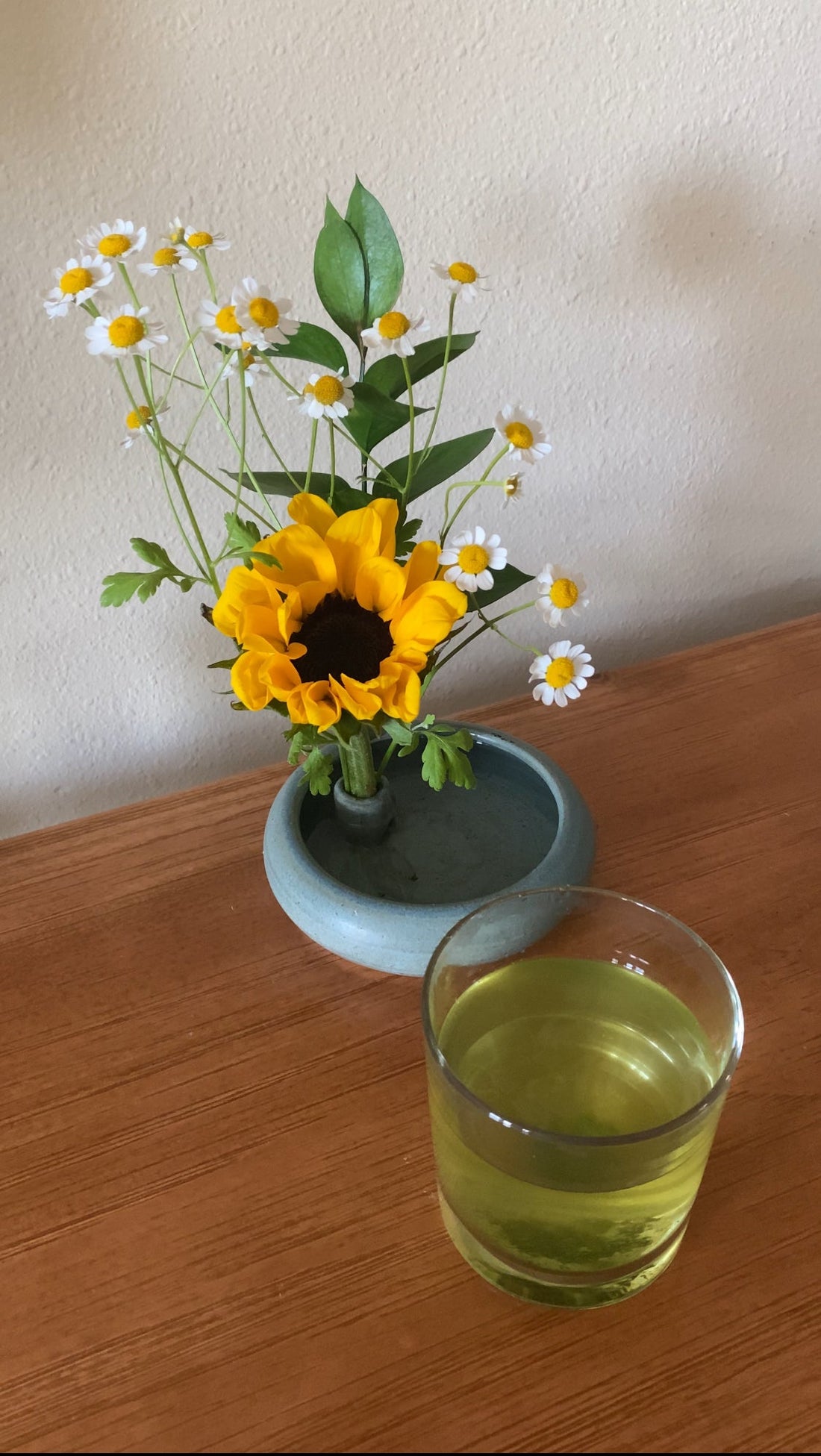 Kyushu Sencha + Freestyle Ikebana: A Ritual of Stillness and Joy