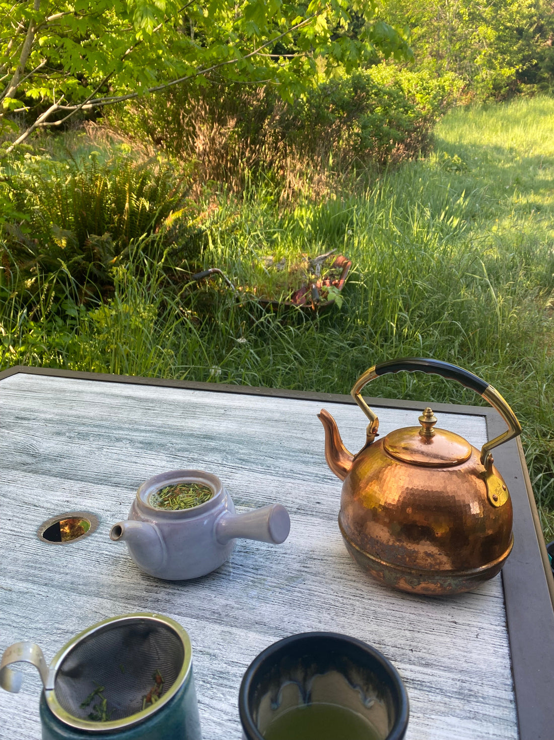 Sipping Genmai-Matcha Outdoors: A Toasty, Vibrational Tea Ritual for Two