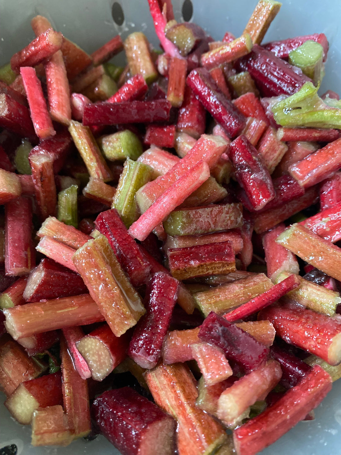 Garden Magic: Making Rhubarb Syrup from Scratch with a Friend