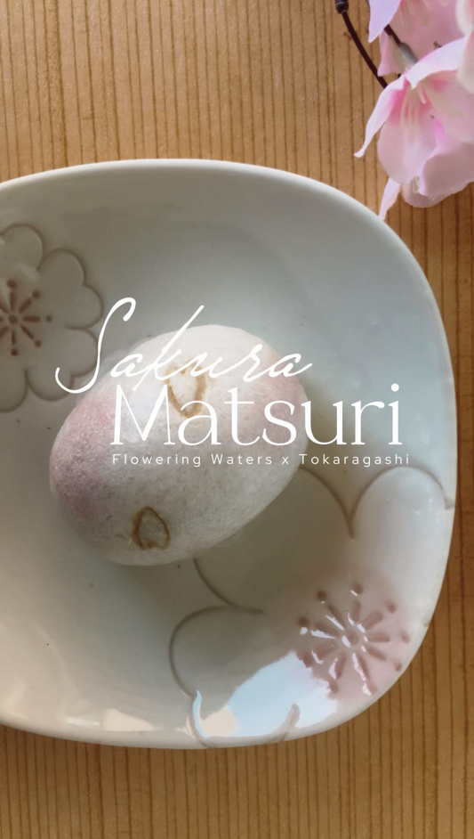 Returning to Sakura Matsuri